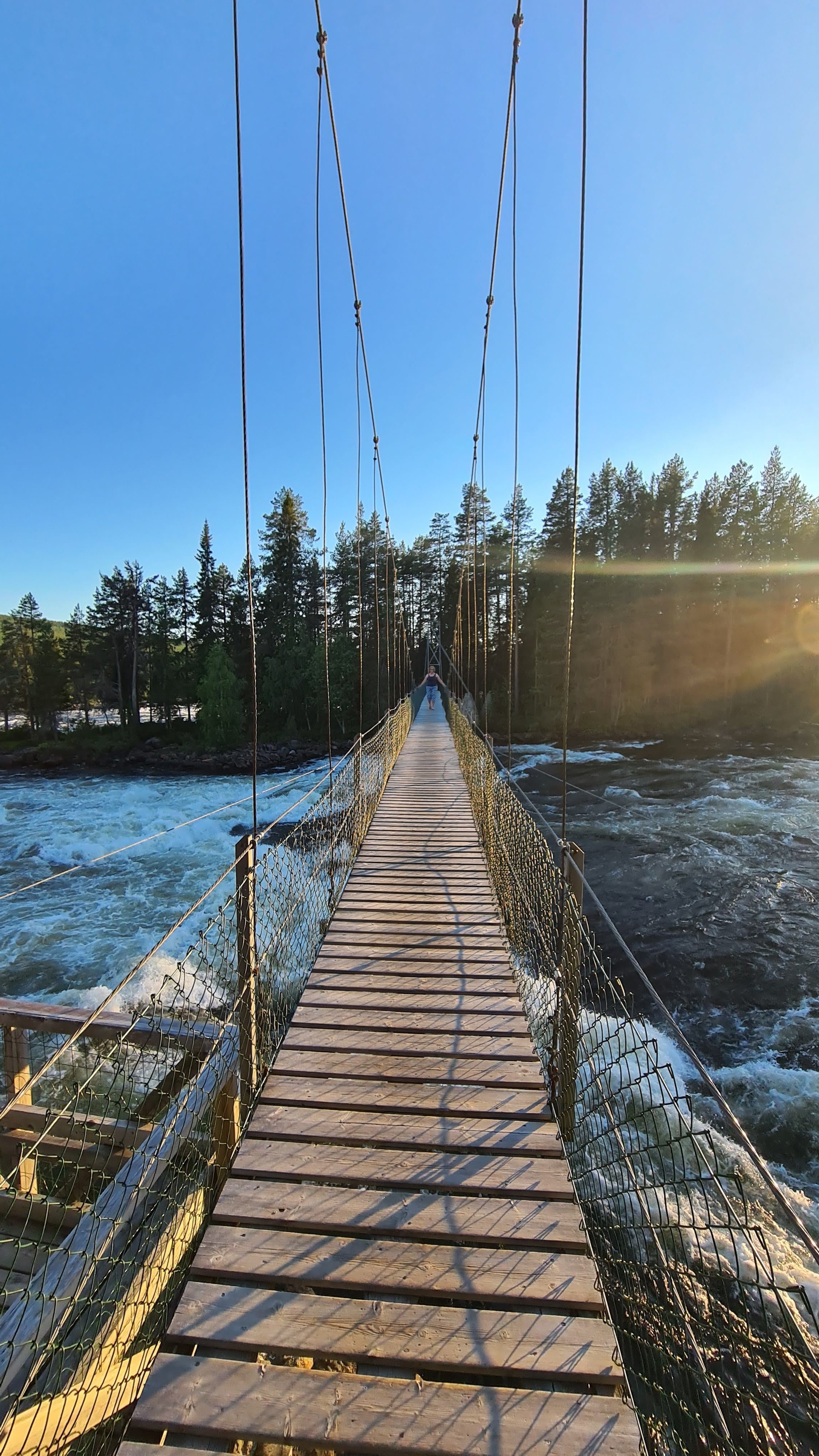 Mårdseleforsens naturreservat